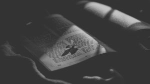 Astrology as self-regulation tool